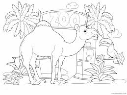 Select from 35919 printable crafts of cartoons, nature, animals, bible and many more. Camel Coloring Pages Animal Printable Sheets Camel Animal 349 2021 0746 Coloring4free Coloring4free Com
