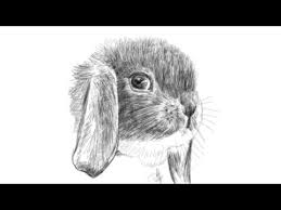 A quick and easy bunny.photo courtesy of alex pope preparation have a picture of the look you wish to achieve, and keep it near you when doing the makeup pull hair back out of the way clean and dry. How To Draw A Rabbit Face Youtube