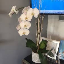 Look around and see the beautiful seasons in california and think of all the fresh tropical arrangements that will be available in this hot sunny climate. Socal Flower Amp Supply Updated Covid 19 Hours Services 147 Photos 51 Reviews Florists 15532 Cabrito Rd Van Nuys Van Nuys Ca Phone Number Yelp