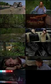 A small west virginia town is hosting the legendary mountain man festival on halloween, where throngs of costumed party goers gather for a wild night of music and mischief. Wrong Turn 5 Full Movie Download In Hindi Dubbed 480p