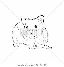 Cute Hamster Pet Vector Photo Free Trial Bigstock 820 x 880 jpeg 123 кб. cute hamster pet vector photo free