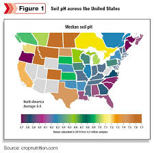 Median Soil Ph Across The U S Soil Ph Soil Us Map