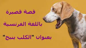 قصة قصيرة باللغة الفرنسية سهلة بعنوان الكلب ينبح animals dogs