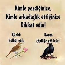 Anlamli Yazili Resimler Resimli Yazilar Kuaza Degisik Bi Sey Cool Words Wise Quotes Quotations