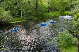 The tubes are already inflated and cost $7 to rent for the day. Splash Into The Springs Near Gainesville Fl Events In Gainesville And What S Good In Alachua County Fl