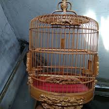 Saat baru dipotong dan masih hijau, bambu sangat lentur,. Sangkar Pleci Sangkar Burung Burung Kecil Sangkar