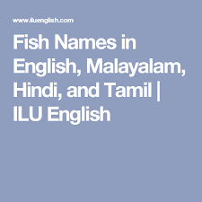 Fish Names In English Malayalam Hindi And Tamil Ilu English Fish Names English