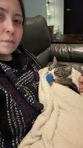 Hi! I hope this is okay to post, please delete if not, i am posting this  for my friend Courtney Taylor. Unfortunately, her kitten Marley has a  bladder inflammation causing a nearly