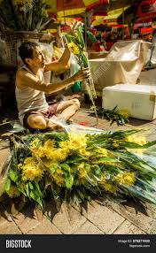 We have a hugh varity of flowers and gifts to choose from. Singapore June 2012 Image Photo Free Trial Bigstock