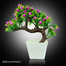 Live bonsai plants for office, home decoration with ✅ same day jade bonsai tree is a perfect buy for new horticulturalists. Crystu Pink Rose Flower Bonsai Tree Artificial Tree Bonsai Plant Bonsai Tree With Pot Bonsai Plant