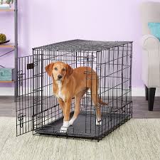 We did not find results for: Midwest Double Door Dog Crate Off 79 Www Usushimd Com