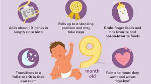 Wake and nurse or bottle (6 to 8 ounces breast milk or formula) 7:45 a.m.: Your 9 Month Old Baby Development Milestones