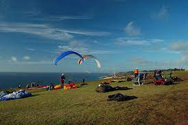 We did not find results for: Torrey Pines Gliderport San Diego Hang Gliding San Diego 710 Beach Rentals