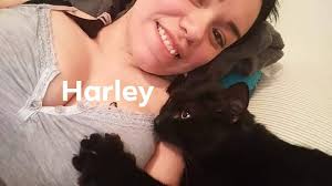 Hello dear ones 🌙🐾 I've had black cats all my life. Last year, one walked  into my life & moved in—his owner even asked me to keep him. He's been with  our