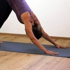 227 likes · 2 talking about this. Yogakreis Bodensee Uberlingen Deisendorf