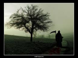 Resultado de imagen para imagenes de la muerte