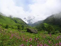 We did not find results for: Valley Of Flowers Movie