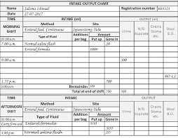 The Intake Output Chart Health Care Service Delivery