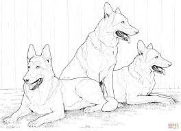 Impriment canon mf3010 windows 10 ~ digital bg video review canon i sensys mf3010 youtube. German Shepherd Dog Coloring Pages Coloring Home