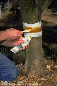 Pest control workers remove unwanted pests that infest buildings and surrounding areas. Traps And Barriers For Keeping Pests Out Pests In The Urban Landscape Anr Blogs