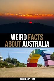 40 Weird Facts About Australia For Your Next Trivia Night Facts About Australia Oceania Travel New Zealand Travel