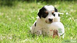 Bathing your puppy is an easy way to clean your dog's fur, skin, and relieve common (though maybe unpleasant) odors that your puppy may emit. 3 Ways To Bathe Your Puppy Wikihow Pet