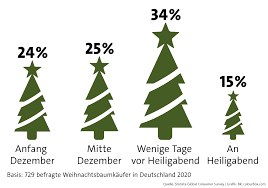 In den meisten familien wird erst am morgen des heiligabends der weihnachtsbaum aufgestellt. Tipps Fur Ihren Weihnachtsbaum Oh Tannenbaum So Grunst Du Im Wohnzimmer Br Wissen