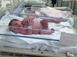 Minha Isabella Nasceu 38 Semanas E 3 Dias Agosto De 2015 Babycenter