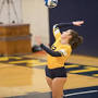 Profile Picture of 12 Caleigh Johnson - 2020 Volleyball Roster - Smith College Athleticson Google