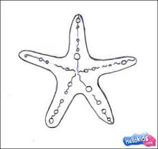 How To Draw Sea Crab How To Draw A Sea Star How To Draw Sea Animals Sea Animals Drawings Sea Drawing Drawing Stars