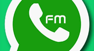 Mostly, whatsapp messenger is smaller than other applications on the market (31 mb). What Is Whatsapp Mod Apk
