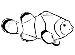 Fish are aquatic animals that swim in water. Picture Of Clown Fish Coloring Pages Best Place To Color