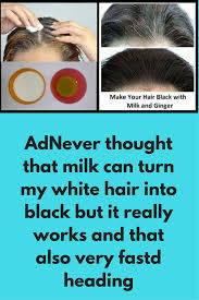 This blend makes hair healthier and black. Milk And Ginger To Reverse White Hair Naturally Today I Will Tell You One Ayurveda Trick To Reverse Prem Natural Hair Recipes Hair Growing Remedies White Hair
