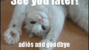 A dios means to god. Adios God Bye Memes See You Later Adios And Goodbye Cat Touching Computer Screen Meme Generator See Rate And Share The Best Bye Memes Gifs And Funny Pics Fixedratelowinterestcreditcardswith50