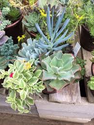 6141 mobile hwy, pensacola, fl 32526. Perdue S Flowers 7851 Pine Forest Rd Pensacola Fl Nurseries Mapquest