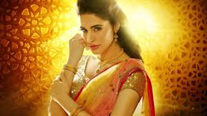 Nargis Fakhri 2560x1440 Download Hd Wallpaper Wallpapertip She has appeared on america's next top model and made her acting debut with the 2011 film rockstar. wallpapertip