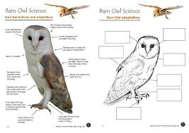 We have compiled for you a large collection of images with different animals. Barn Owl Conservation Science Educational Resources The Barn Owl Trust