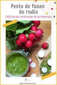 pesto de fanes de radis recette zero dechet facile et rapide