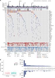 Although o + is the most common blood type in the united states, the percentage of people with this blood type varies by ethnicity. Integrative Genomic Study Of Chinese Clear Cell Renal Cell Carcinoma Reveals Features Associated With Thrombus Nature Communications