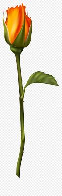 We did not find results for: Paint Flowers Happy Flowers Decorative Paintings Sketsa Kuncup Bunga Mawar Clipart 1312363 Pinclipart