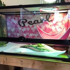 Image result for Terrarium Cling Background