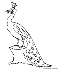 Download abstract peacock stock photos. Printable Peacock 0 Coloring Pages Peacock Coloring Pages Coloring Pages For Kids And Adults