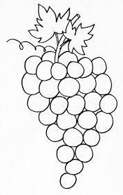 coloriage d une grappe de raisin tete a modeler en 2021 fruits van gogh