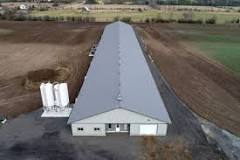 Prix de construction d'un bâtiment avicole en 2025 | Tarif ...