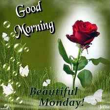 Wish your loved ones a fantastic morning in a creative way! 236 Good Morning Monday Images Photos Pics Wallpapers Wishes Good Morning