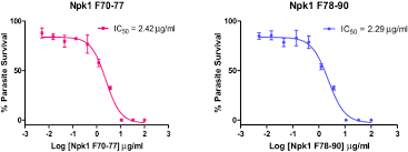 Image result for Pechuel-Loeschea leubnitziae