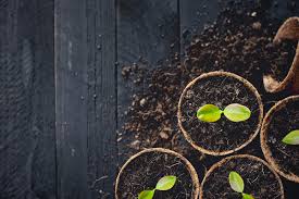 For tips on how to grow your garden from seed watch how to grow greens from seed and for transplanting tricks watch how to transplant seedlings. How To Make Your Own Seed Starting Mix Recipes