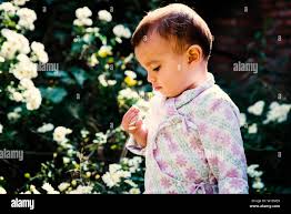 Baby Boy Wearing Traditional Nepali Daura Bhoto Plays With White Flowers In Garden Stock Photo Alamy