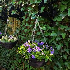 We are people who have loved and worked hard on our garden but as we have gotten older, and i have had particularly poor health, managing our home and garden was becoming too much for my husband. Animal Gifts 4 U Gorgeous Gifts For Animal Lovers