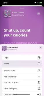 How To Share Apple Music Songs In Your Instagram Facebook Stories Ios Iphone Gadget Hacks